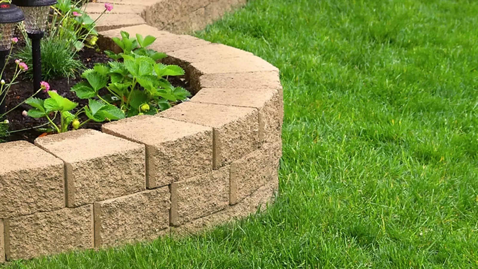 Example of artificial grass work by Holmes Landscapes